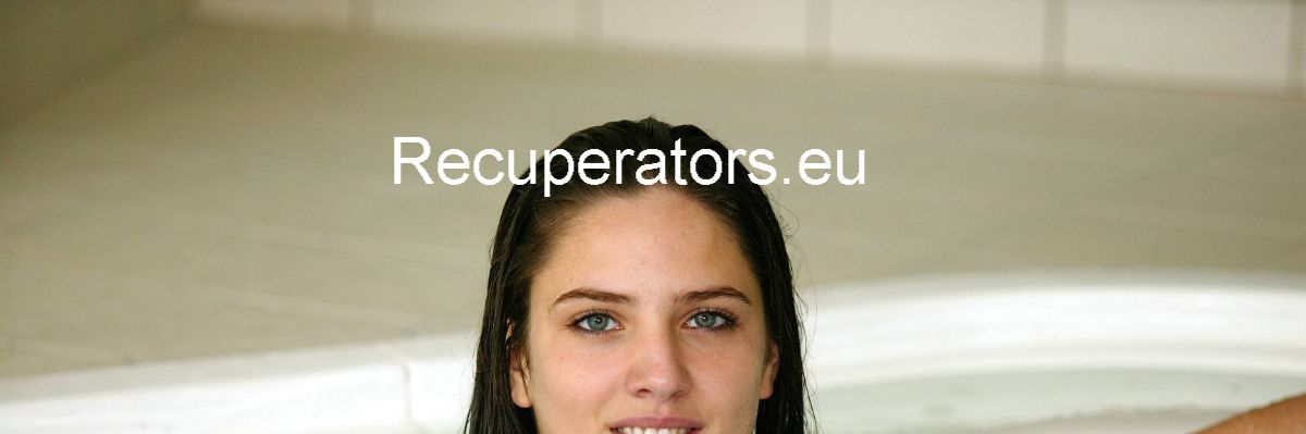 recuperators.eu